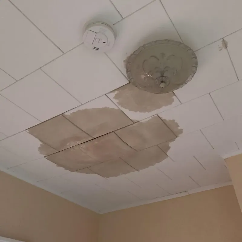 Ceiling Water Damage Repair in Hettinger County, ND