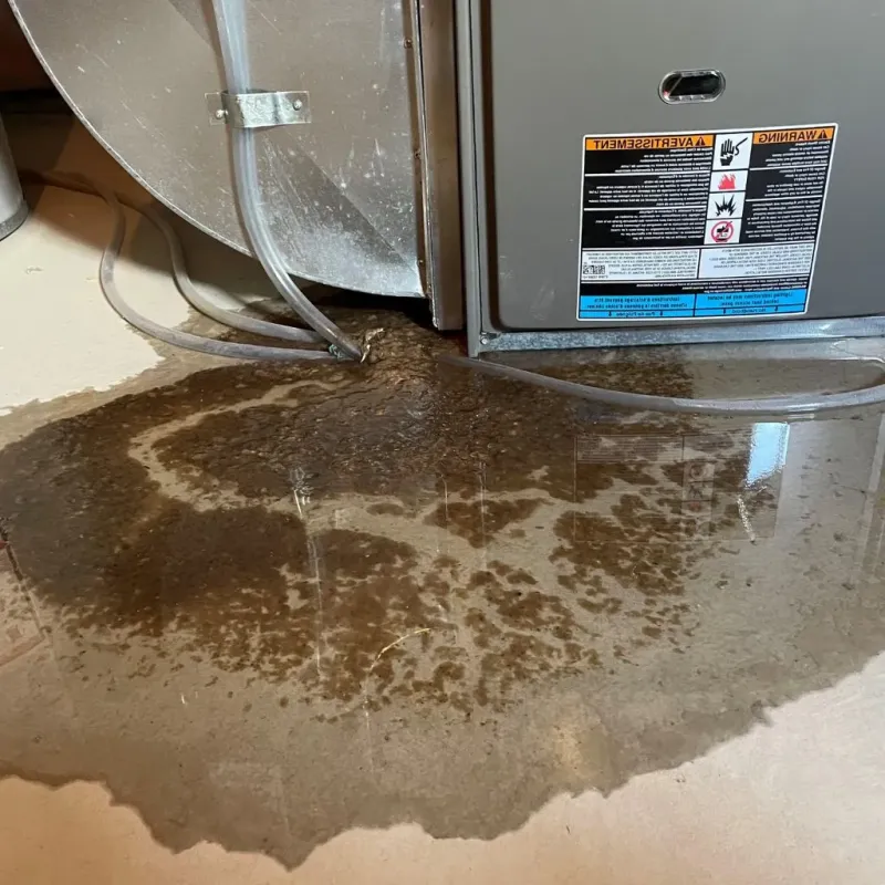 Pipe Burst and Leak Restoration in Hettinger County, ND