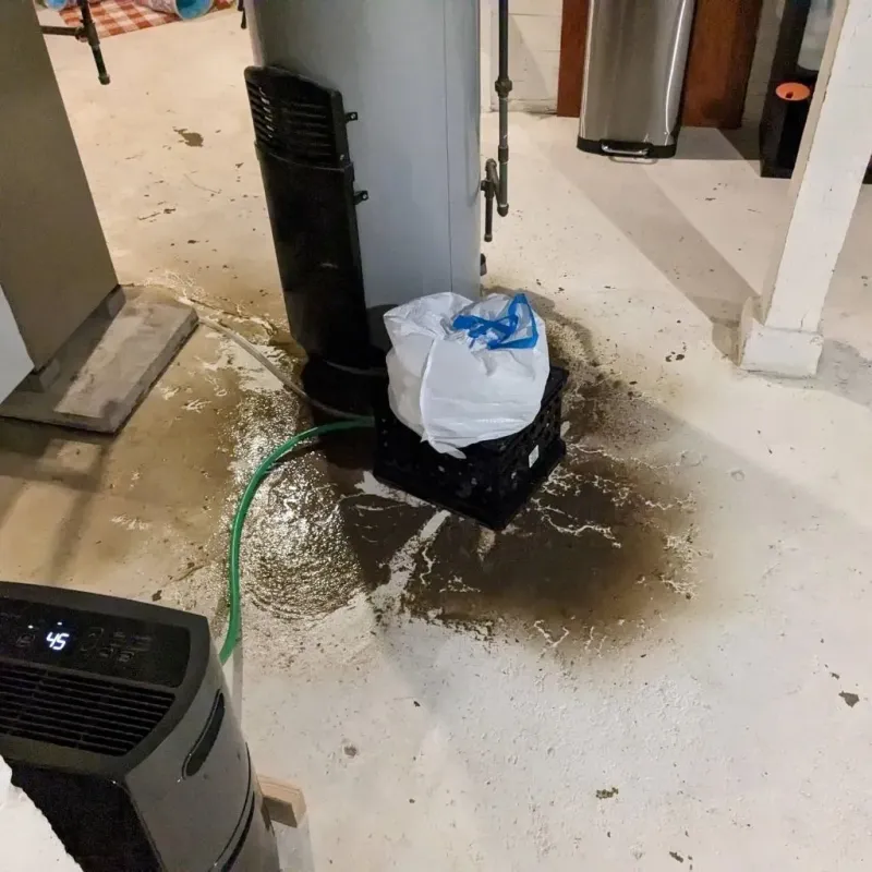 Sewage Backup Cleanup Service in Hettinger County, ND